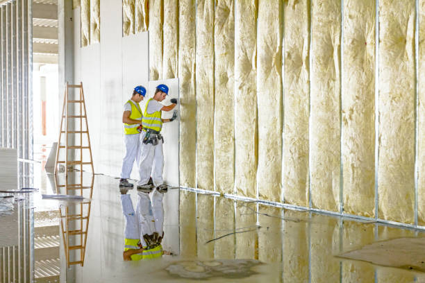 Best Insulation Replacement Services  in West Pittston, PA
